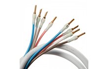 Supra Quadrax 4 x 2.0 Konfekcjonowany Kabel Głośnikowy Bi-Amp - 2 x 3m Salon Poznań Wrocław