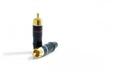 Melodika MDRCA2 Wtyki RCA 2szt. Salon Poznań Wrocław