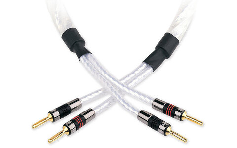 QED Signature C-GNSS/50 Genesis Kabel Głośnikowy