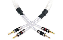 QED Signature C-GNSS/50 Genesis Kabel Głośnikowy Salon Poznań Wrocław