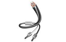 Inakustik LS-603 Banana Kabel Konfekcjonowany 3.0m Salon Poznań Wrocław