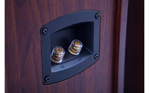 Kolumny do Kina Domowego 5.0 Quadral Quintas 6650