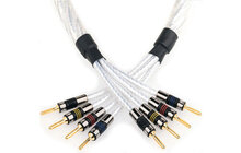 QED Signature GNSSBW/30 Genesis Bi-Wire Kabel Głośnikowy Salon Poznań Wrocław