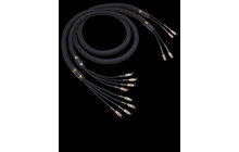 Kimber Kable Bifocal X 2 x 2,5m Przewód Głośnikowy Salon Poznań Wrocław