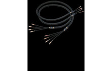 Kimber Kable Bifocal XL 2 x 2,5m Przewód Głośnikowy Salon Poznań Wrocław