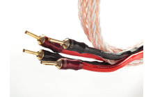 Taga Harmony Platinum-18-8C 2.5m Kabel Głośnikowy Salon Poznań Wrocław