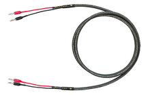 Cardas 101 Speaker 3m Przewód Głośnikowy Salon Poznań Wrocław