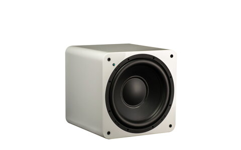SVS SB-1000 Subwoofer