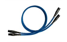 Cardas Clear Cygnus Interconnect XLR 1.0m Przewód XLR Salon Poznań Wrocław