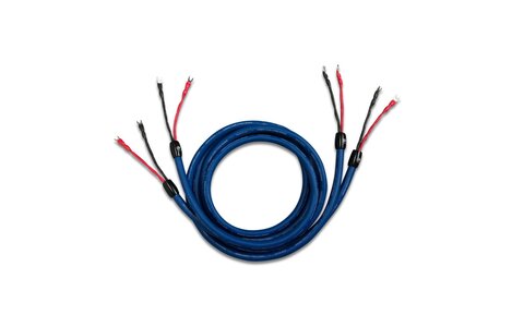 Przewód Kabel Głośnikowy Cardas Clear Cygnus Speaker 2.5m