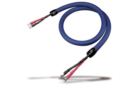 Cardas Clear Speaker 2.5m Przewód Głośnikowy 