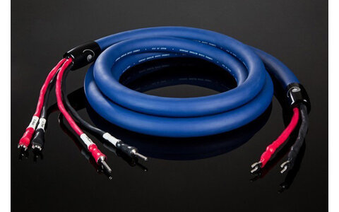 Przewód Głośnikowy 2.5m Cardas Clear Beyond Speaker