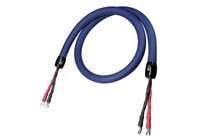 Cardas Clear Beyond Speaker 3.0m Przewód Głośnikowy Salon Poznań Wrocław