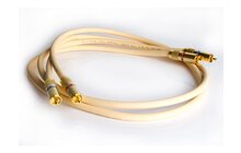 Van den Hul The Name RCA Interconnect Kabel 2 x RCA 1m Salon Poznań Wrocław