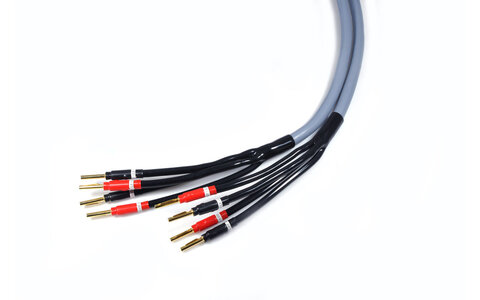 Melodika MDBW41575G Kable Głośnikowe Purple Rain Gunmetal