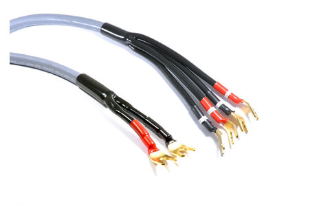 Melodika MDBW41560Gs Kable Głośnikowe Purple Rain Gunmetal