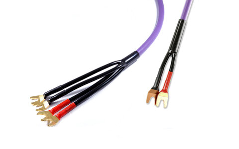 Melodika MDBW41575s Kable Głośnikowe Purple Rain