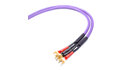 Melodika MDSC2515s Kable Głośnikowe Purple Rain 