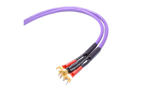 Melodika MDSC2535s Kable Głośnikowe Purple Rain