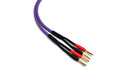 Melodika MDSC1515 Kable Głośnikowe Purple Rain 2x1,5mm2 1,5m