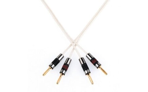 QED Reference C-QSAXT/100 Silver Anniversary XT