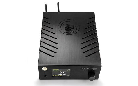 Odtwarzacz Sieciowy z DAC Gold Note DS-10 Srebrny Audio