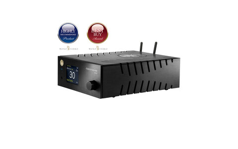 Odtwarzacz Sieciowy z DAC Gold Note DS-10 Srebrny Salon Audio