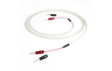 Chord Rumour X Przewód Głośnikowy Zakonfekcjonowany Wtyki ChordOhmic 2 x 3,0m Salon Poznań Wrocław