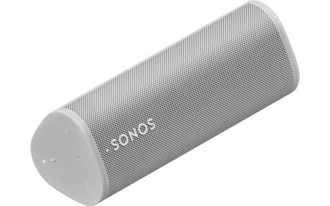 Sonos Roam Srebrny Głośnik Sieciowy