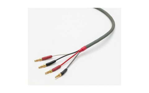 Straight Wire Chorus II Przewód Głośnikowy 2 x 3m 