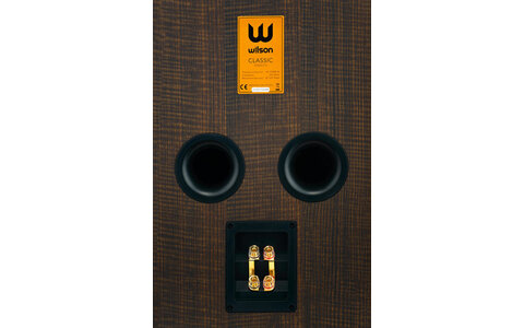 Kolumny Podstawkowe Wilson Classic Tobacco