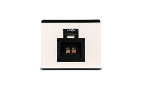 Wilson Raptor X Biała Kolumna Głośnikowa Podstawkowa