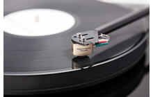 Gold Note Donatello Gold Wkładka Gramofonowa Salon Poznań Wrocław