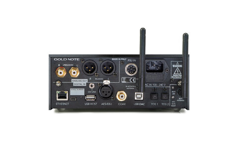 Plus Srebrny Odtwarzacz Sieciowy z DAC Gold Note DS-10