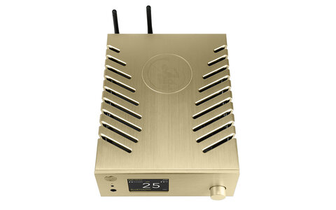 Gold Note DS-10 Plus Złoty Odtwarzacz Sieciowy z DAC