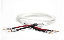Audiovector Zero Compression Avantgarde 2 x 3.15 m Kabel Głośnikowy Salon Poznań Wrocław