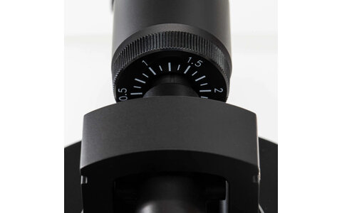 Argon Audio TT-3 (Jesion) 