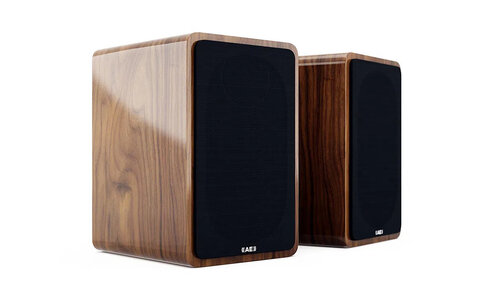 Kolumny Podstawkowe Acoustic Energy AE1 Active Orzech Połysk Aktywne Salon Poznań