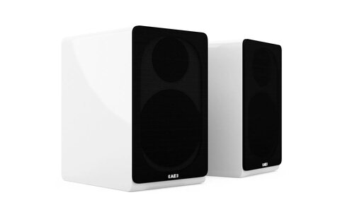 Kolumny Podstawkowe Acoustic Energy AE300 Biały Połysk Sklep Poznań