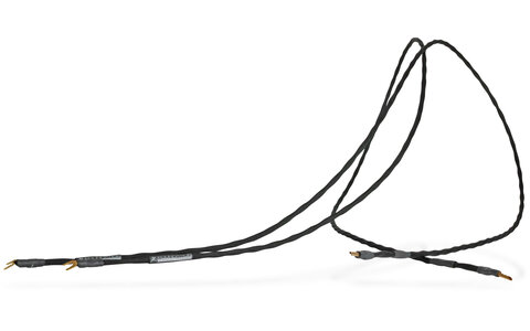 Przewód Głośnikowy 2 x 2,4m z wtykami bananowymi bofa Synergistic Research Foundation SC 