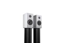 Polk Audio RESERVE R100 Białe Kolumny Podstawkowe Salon Poznań Wrocław