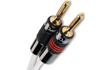 QED Performance QE1412 Kabel Głośnikowy XTC 3.0m Salon Poznań Wrocław