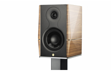 Gold Note A3 EVO II Orzech Mat Kolumna Podłogowa Salon Poznań Wrocław