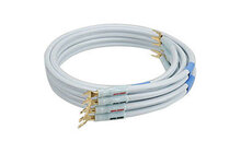 Supra Sword 2 x Kabel Głośnikowy 3m Salon Poznań Wrocław