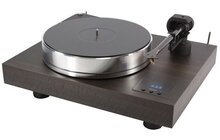 Pro-Ject Xtension 10 EVO Eukaliptus Gramofon Salon Poznań Wrocław