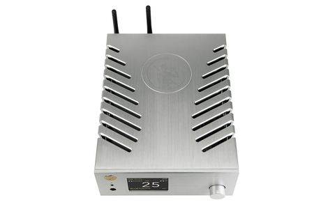 Gold Note DS-10 EVO Srebrny Odtwarzacz Sieciowy z DAC