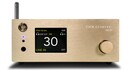 Złoty Odtwarzacz Sieciowy z DAC Gold Note DS-10 EVO LINE 