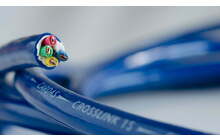 Cardas Crosslink Speaker 1s Przewód Głośnikowy z Rolki Salon Poznań Wrocław