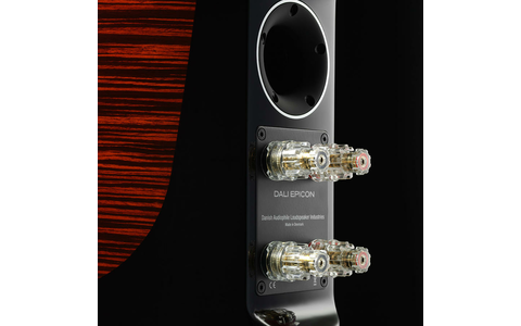 Kolumny Podstawkowe Dali Epicon 2 Rubin Połysk tył terminale