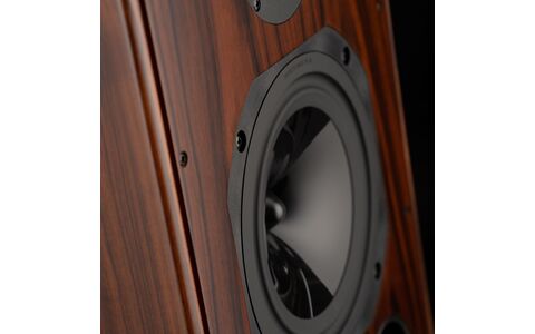 Kolumny Podstawkowe Harbeth SHL5plus XD Różane 